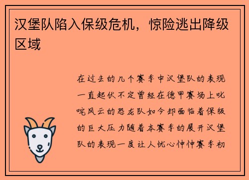 汉堡队陷入保级危机，惊险逃出降级区域